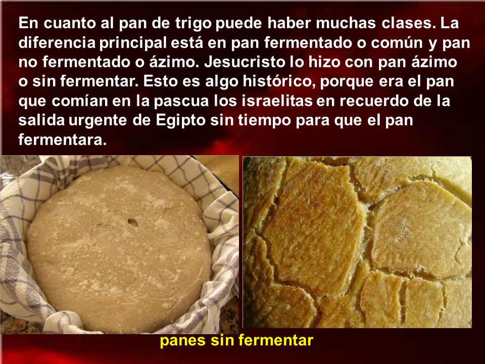 En cuanto al pan de trigo puede haber muchas clases