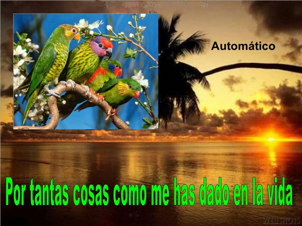 Por tantas cosas como me has dado en la vida