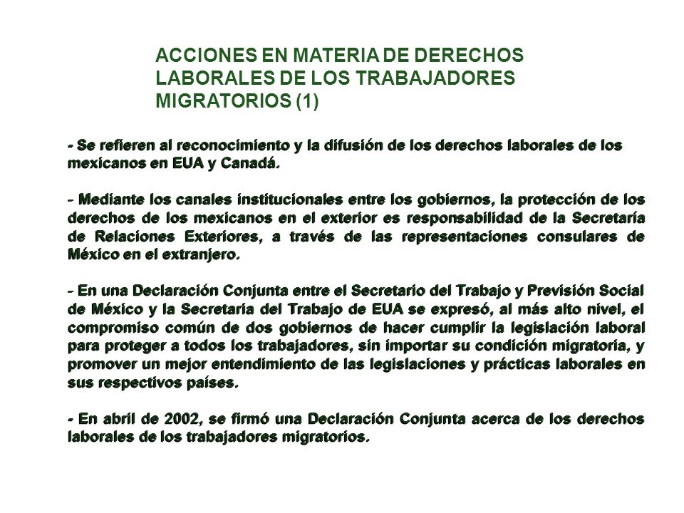 ACCIONES EN MATERIA DE DERECHOS LABORALES DE LOS TRABAJADORES MIGRATORIOS (1)