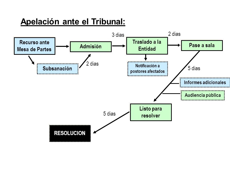 Recurso ante Mesa de Partes Notificación a postores afectados