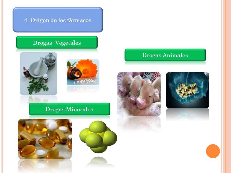 4. Origen de los fármacos Drogas Vegetales Drogas Animales Drogas Minerales