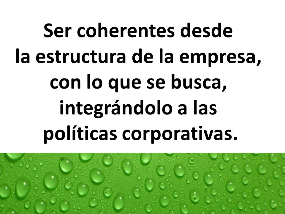 la estructura de la empresa, políticas corporativas.