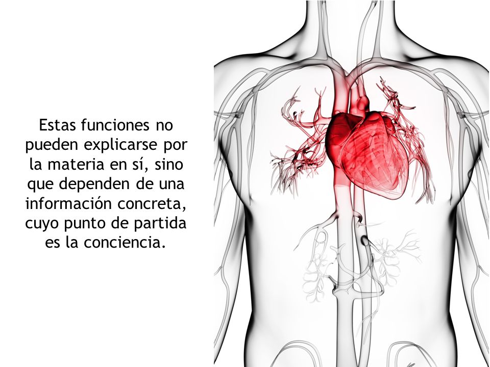 Estas funciones no pueden explicarse por la materia en sí, sino que dependen de una información concreta, cuyo punto de partida es la conciencia.