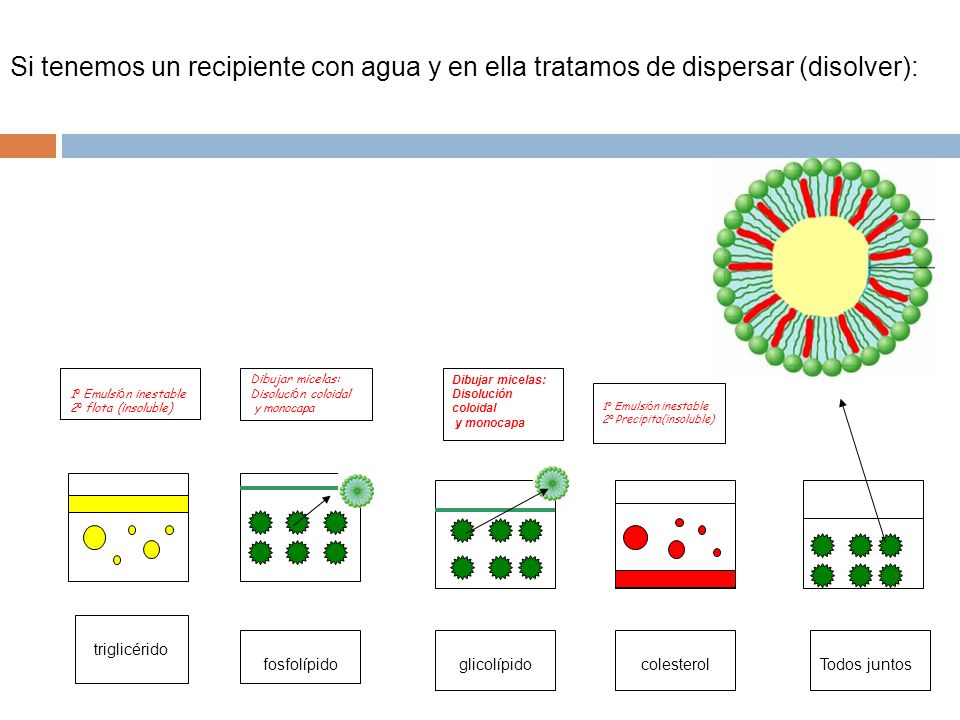 Si tenemos un recipiente con agua y en ella tratamos de dispersar (disolver):