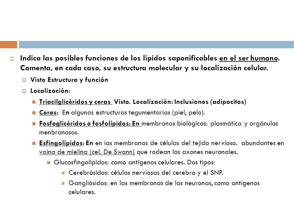 Indica las posibles funciones de los lípidos saponificables en el ser humano. Comenta, en cada caso, su estructura molecular y su localización celular.