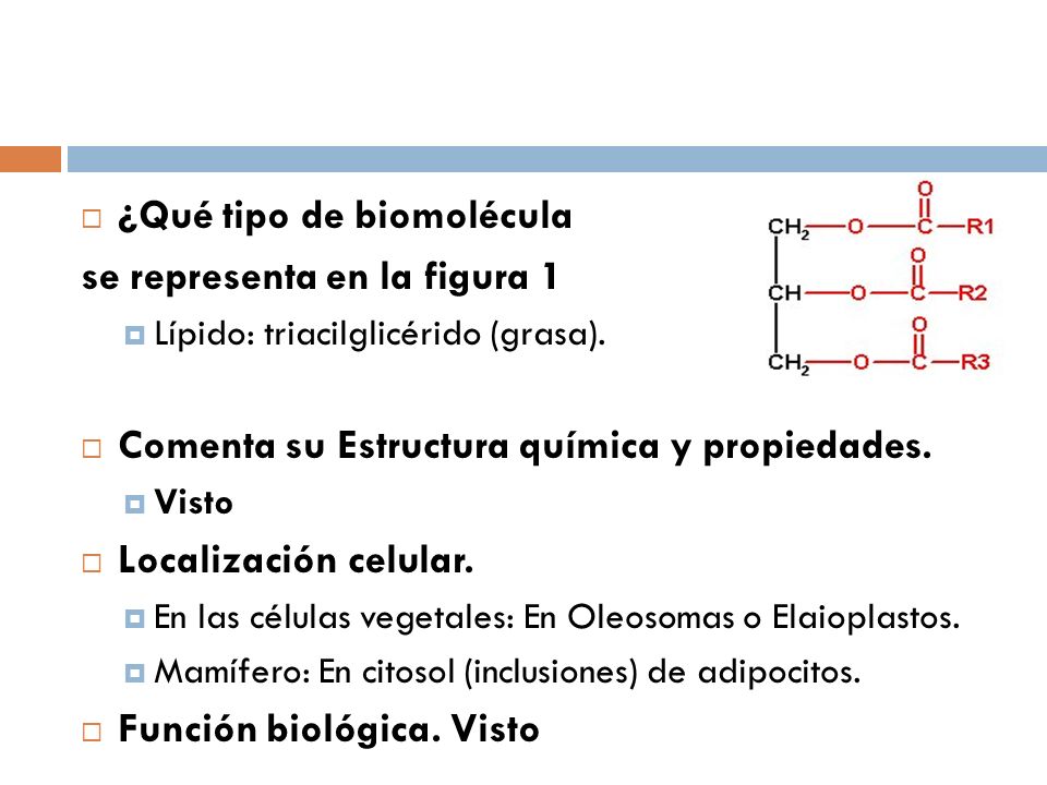 ¿Qué tipo de biomolécula se representa en la figura 1
