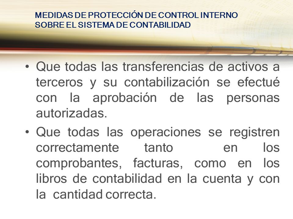 MEDIDAS DE PROTECCIÓN DE CONTROL INTERNO SOBRE EL SISTEMA DE CONTABILIDAD