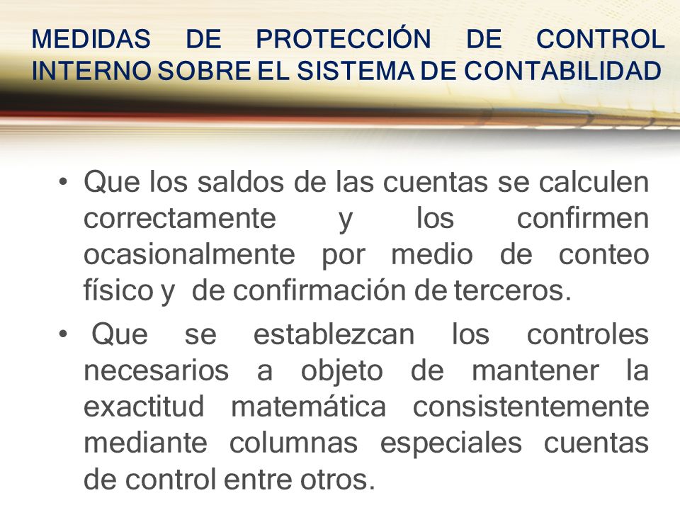 MEDIDAS DE PROTECCIÓN DE CONTROL INTERNO SOBRE EL SISTEMA DE CONTABILIDAD