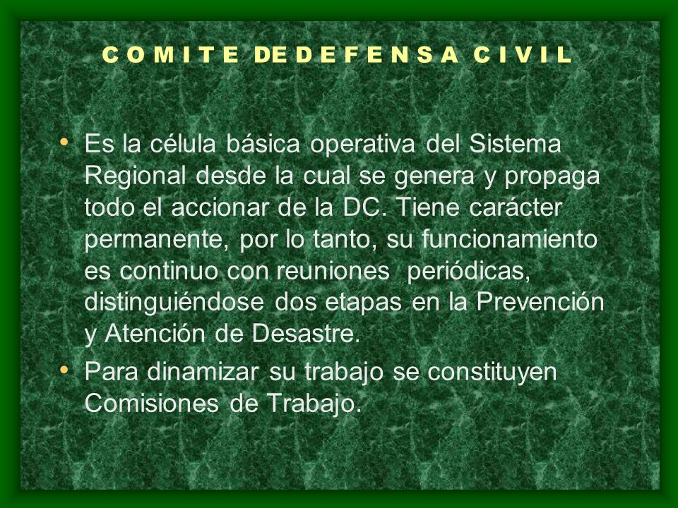 C O M I T E DE D E F E N S A C I V I L