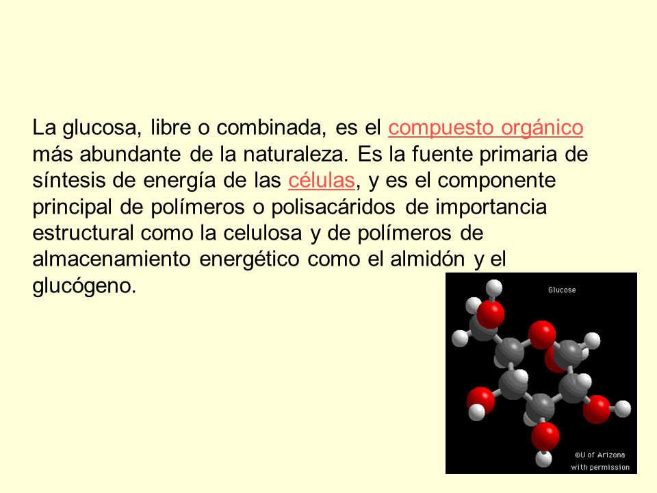 La glucosa, libre o combinada, es el compuesto orgánico más abundante de la naturaleza.