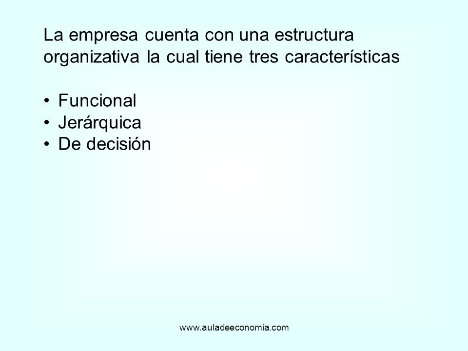 La empresa cuenta con una estructura organizativa la cual tiene tres características