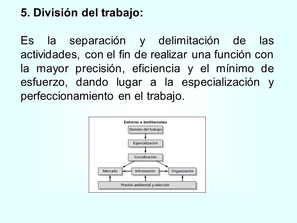 5. División del trabajo: Es la separación y delimitación de las actividades, con el fin de realizar una función con.