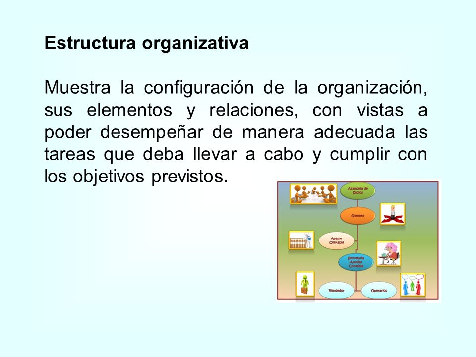 Estructura organizativa