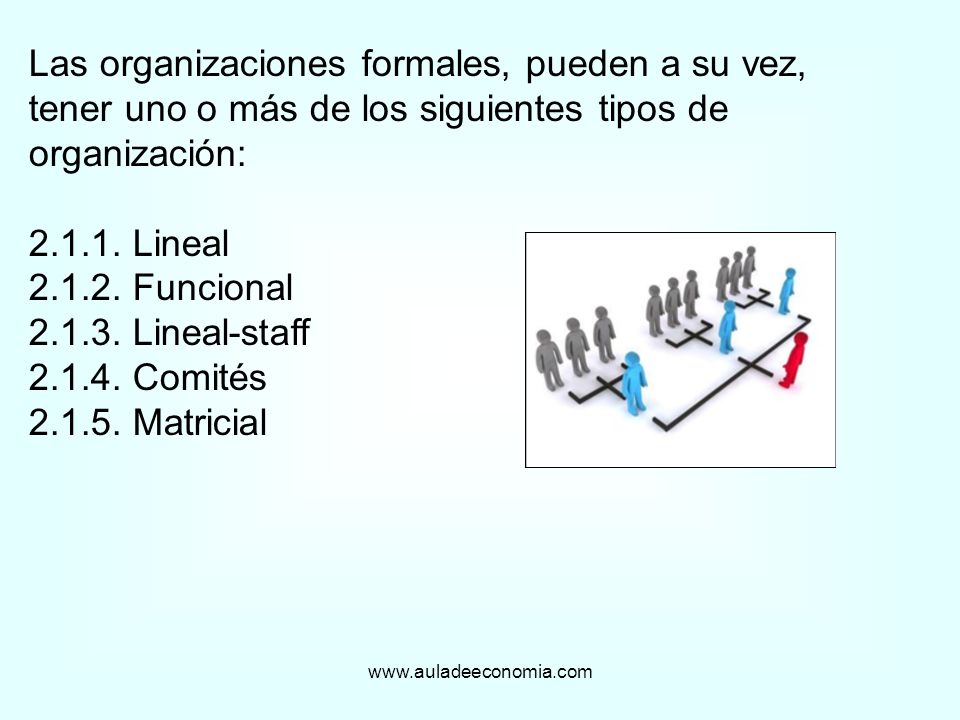 Las organizaciones formales, pueden a su vez, tener uno o más de los siguientes tipos de organización: