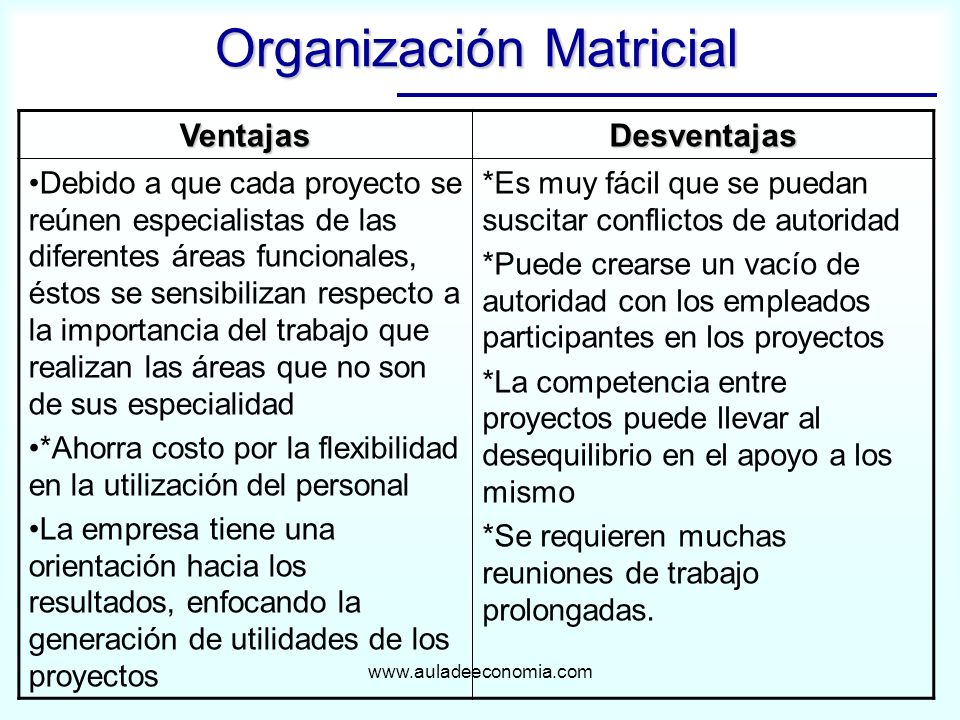 Organización Matricial