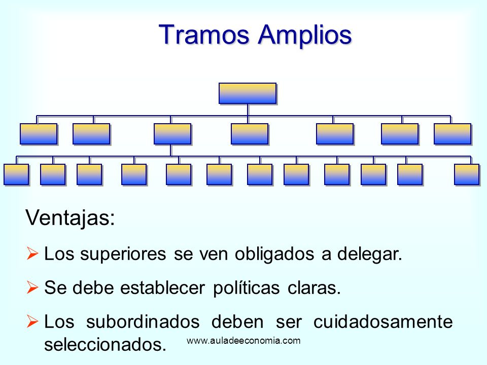 Tramos Amplios Ventajas: Los superiores se ven obligados a delegar.