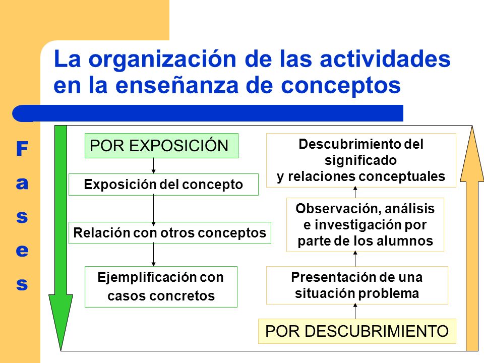 La organización de las actividades en la enseñanza de conceptos