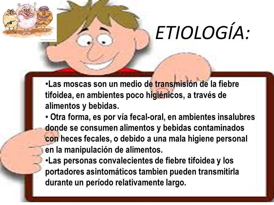 ETIOLOGÍA: Las moscas son un medio de transmisión de la fiebre tifoidea, en ambientes poco higiénicos, a través de alimentos y bebidas.