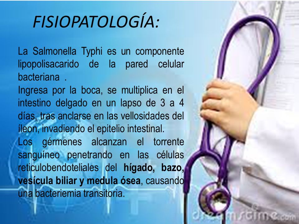 FISIOPATOLOGÍA: La Salmonella Typhi es un componente lipopolisacarido de la pared celular bacteriana .