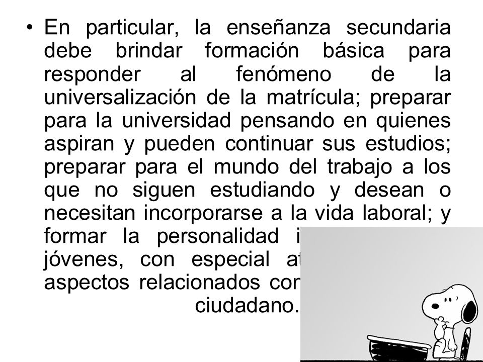 En particular, la enseñanza secundaria debe brindar formación básica para responder al fenómeno de la universalización de la matrícula; preparar para la universidad pensando en quienes aspiran y pueden continuar sus estudios; preparar para el mundo del trabajo a los que no siguen estudiando y desean o necesitan incorporarse a la vida laboral; y formar la personalidad integral de los jóvenes, con especial atención en los aspectos relacionados con el desempeño ciudadano.