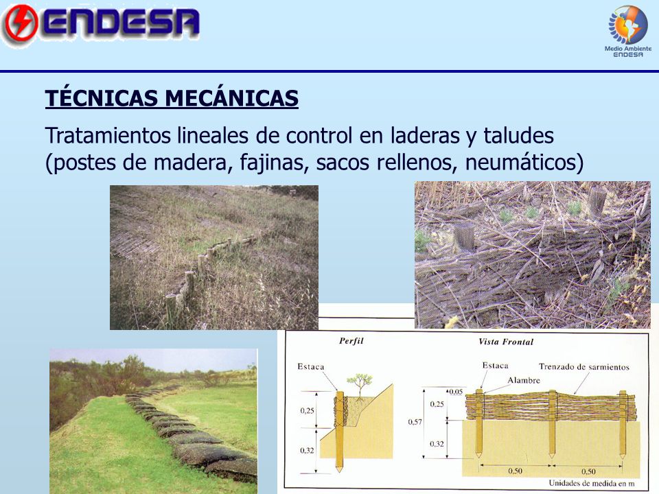 TÉCNICAS MECÁNICAS Tratamientos lineales de control en laderas y taludes (postes de madera, fajinas, sacos rellenos, neumáticos)