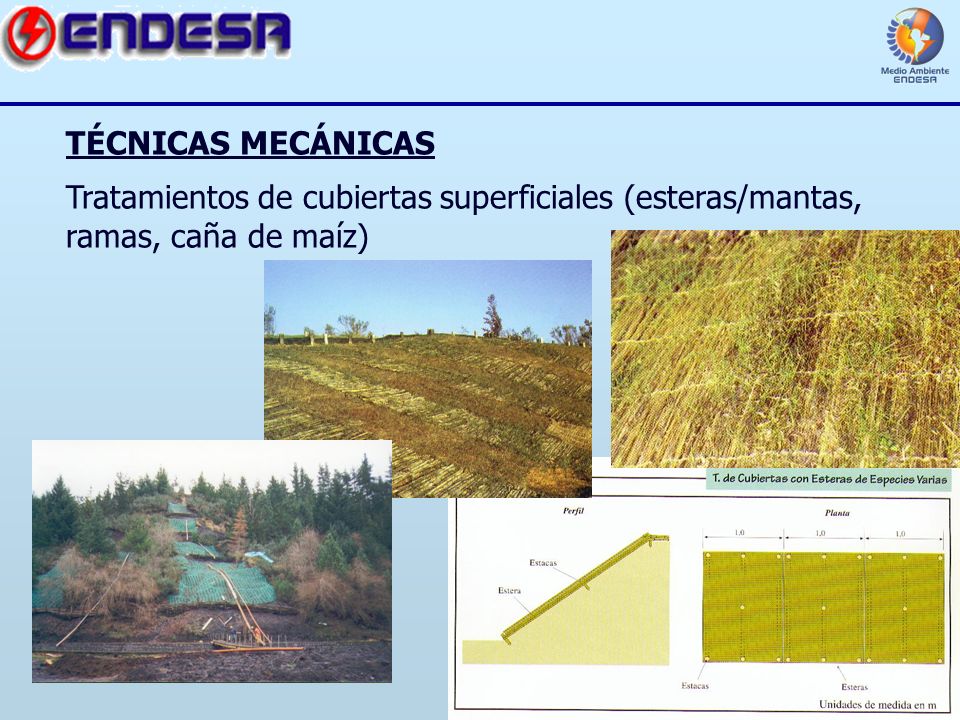 TÉCNICAS MECÁNICAS Tratamientos de cubiertas superficiales (esteras/mantas, ramas, caña de maíz)