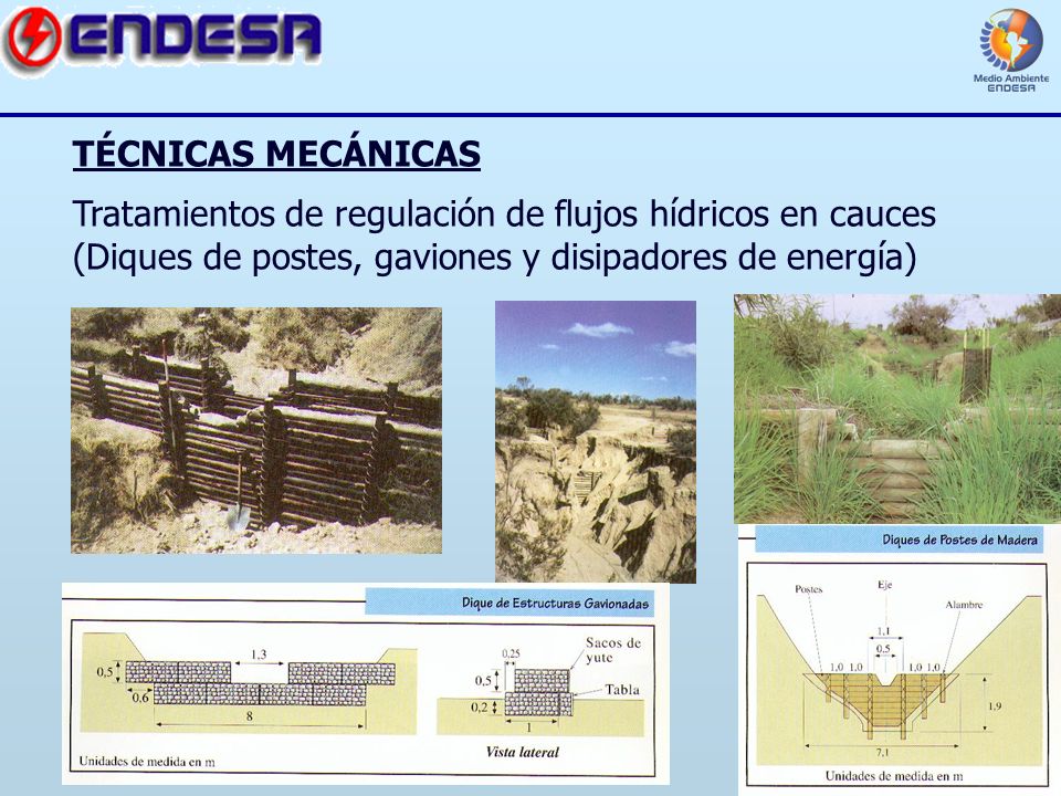 TÉCNICAS MECÁNICAS Tratamientos de regulación de flujos hídricos en cauces (Diques de postes, gaviones y disipadores de energía)
