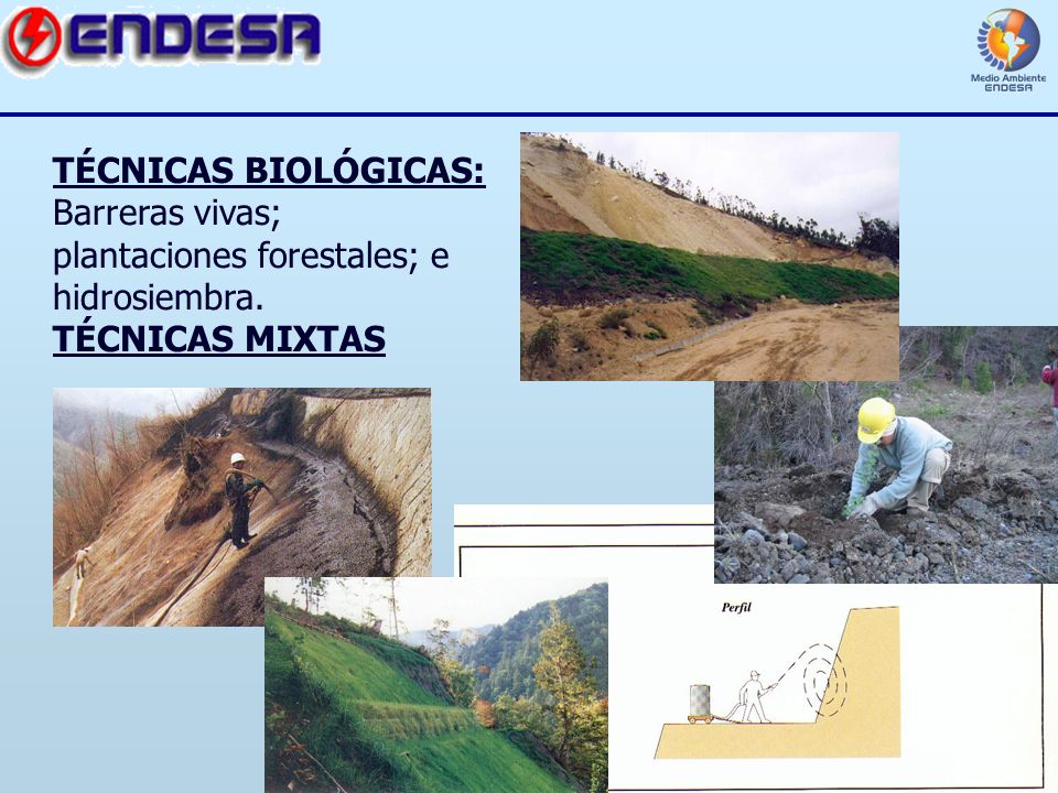 TÉCNICAS BIOLÓGICAS: Barreras vivas; plantaciones forestales; e hidrosiembra. TÉCNICAS MIXTAS