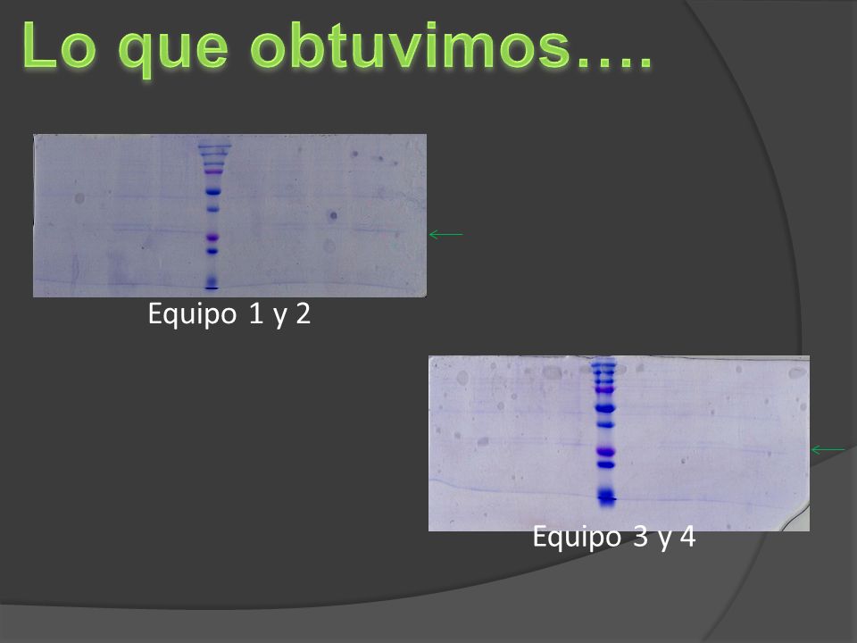 Lo que obtuvimos…. Equipo 1 y 2 Equipo 3 y 4