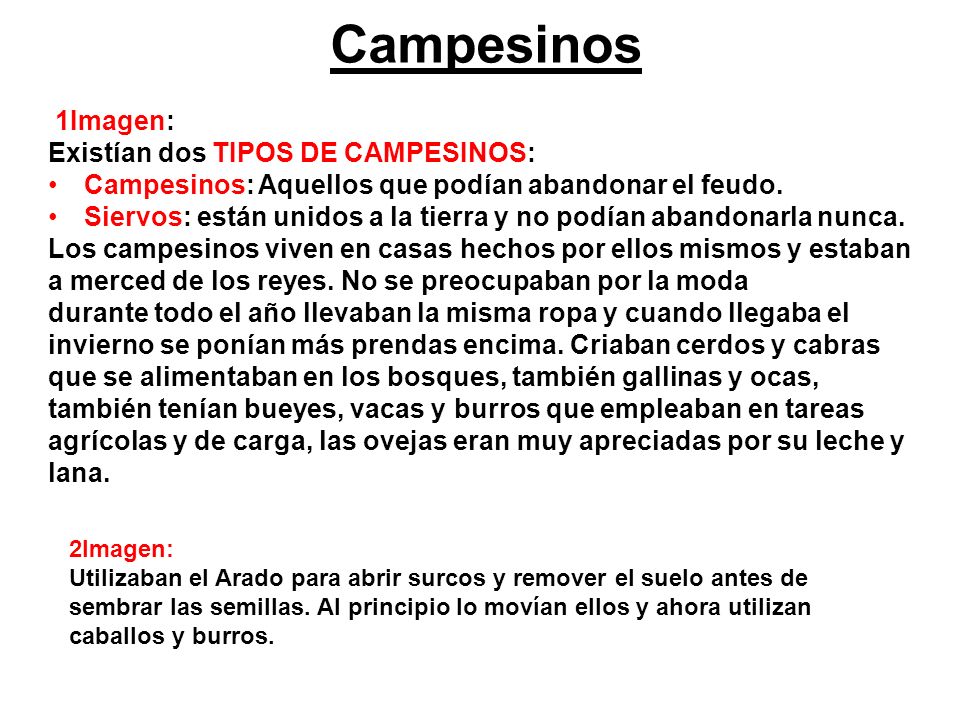 Campesinos 1Imagen: Existían dos TIPOS DE CAMPESINOS: