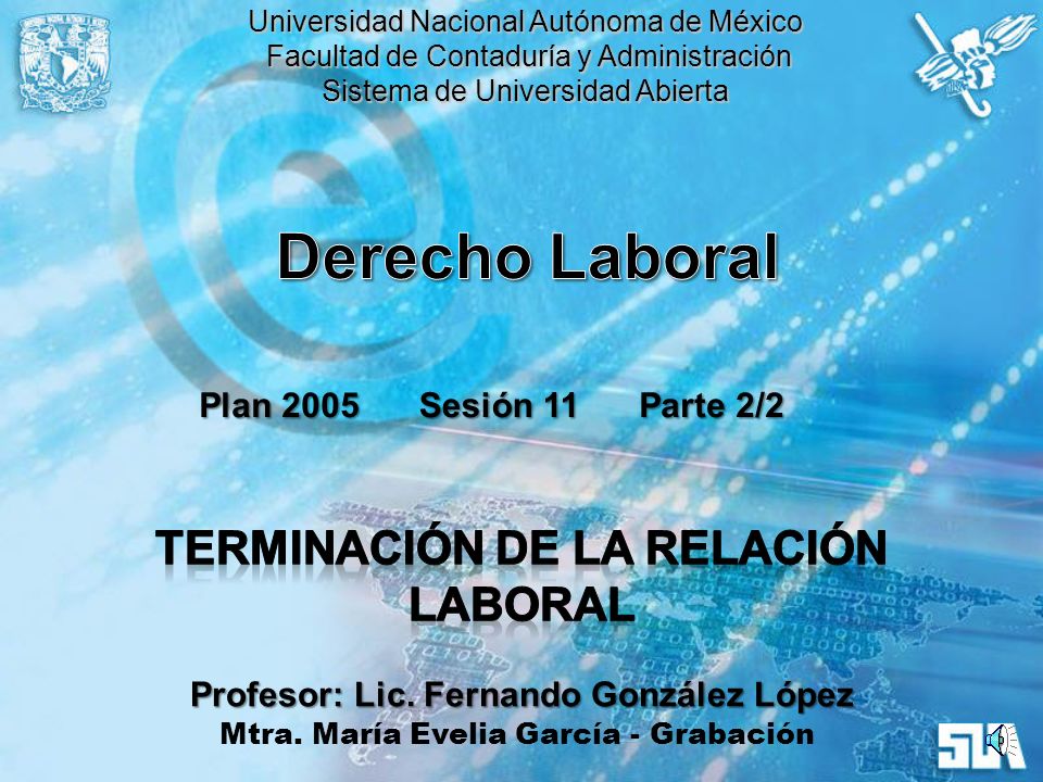 Derecho Laboral Terminación de la Relación Laboral Plan 2005 Sesión 11