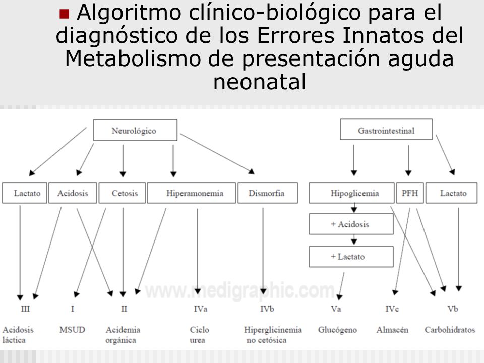 Algoritmo clínico-biológico para el diagnóstico de los Errores Innatos del Metabolismo de presentación aguda neonatal