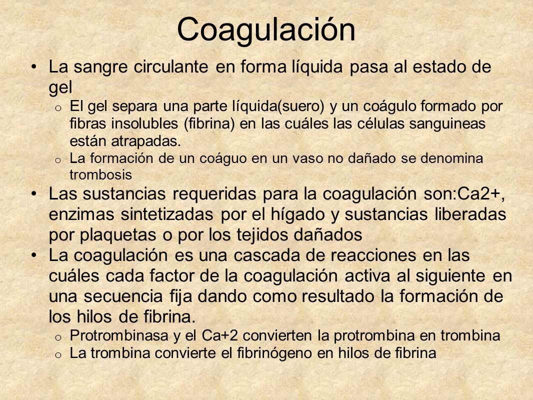Coagulación La sangre circulante en forma líquida pasa al estado de gel.