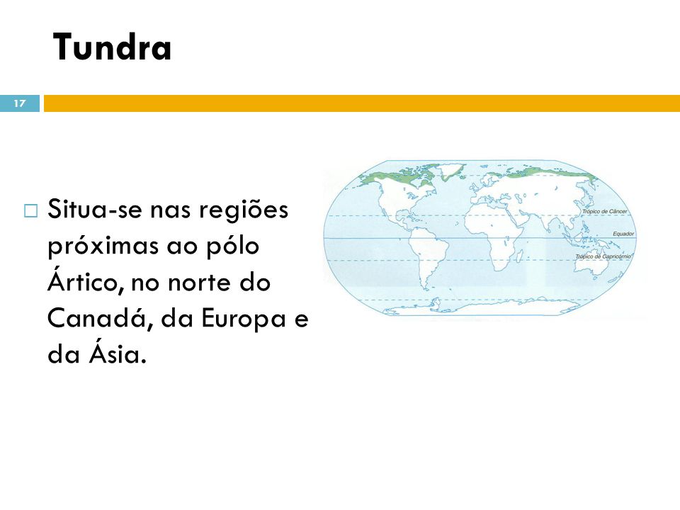 Tundra Situa-se nas regiões próximas ao pólo Ártico, no norte do Canadá, da Europa e da Ásia.