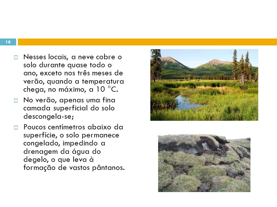 Nesses locais, a neve cobre o solo durante quase todo o ano, exceto nos três meses de verão, quando a temperatura chega, no máximo, a 10 °C.