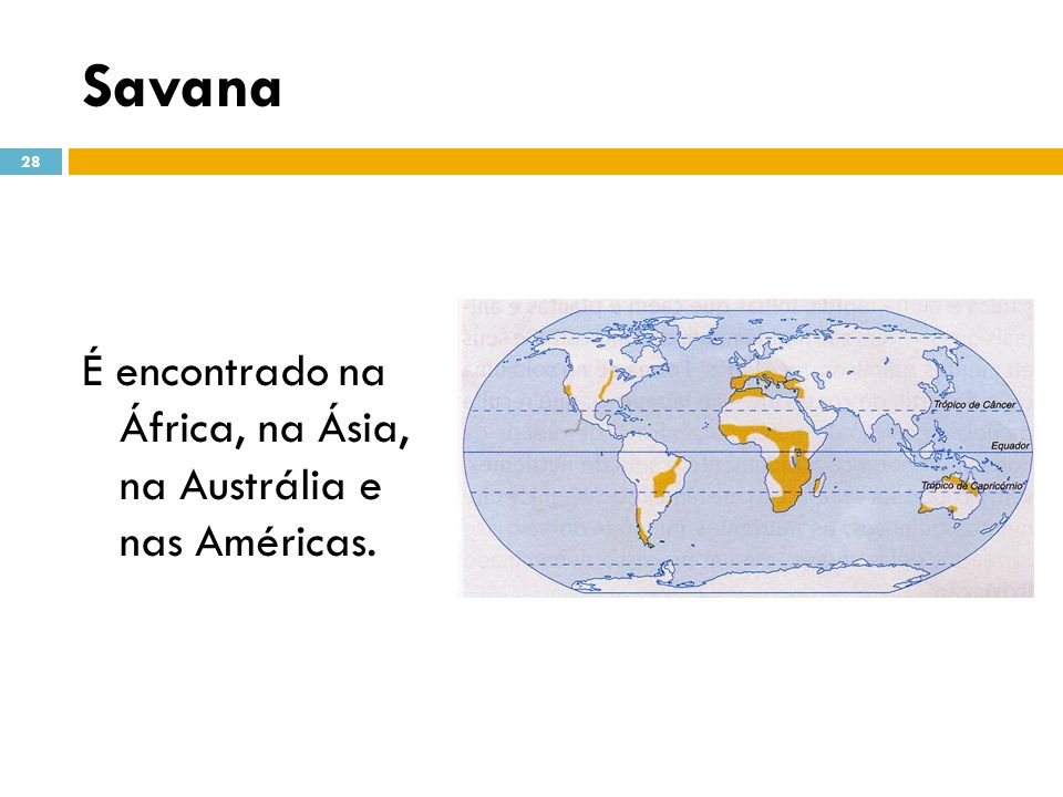 Savana É encontrado na África, na Ásia, na Austrália e nas Américas.