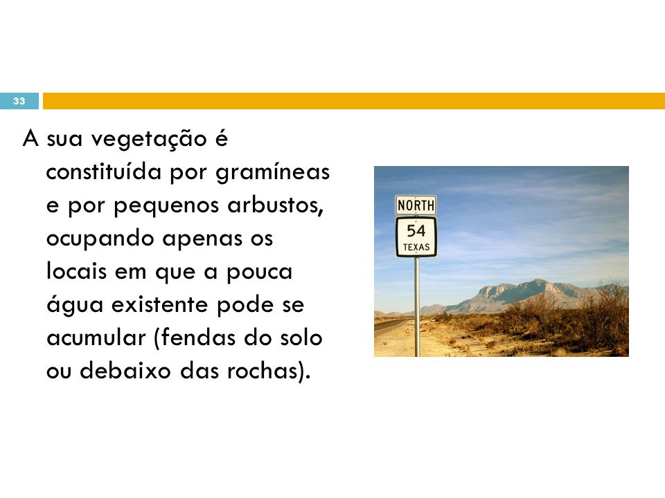 A sua vegetação é constituída por gramíneas e por pequenos arbustos, ocupando apenas os locais em que a pouca água existente pode se acumular (fendas do solo ou debaixo das rochas).