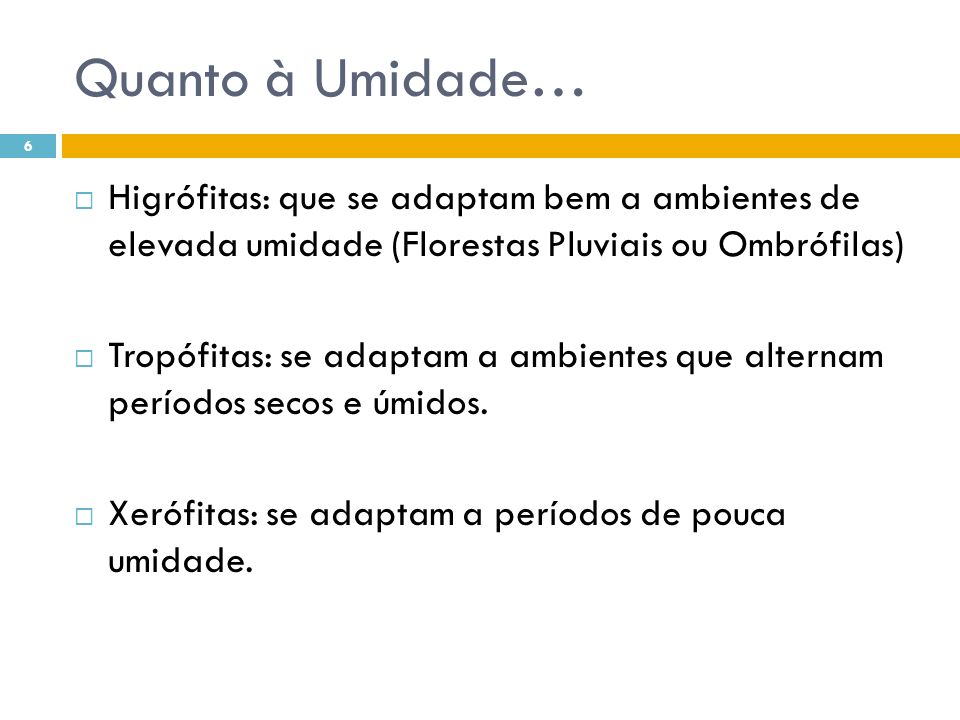 Quanto à Umidade… Higrófitas: que se adaptam bem a ambientes de elevada umidade (Florestas Pluviais ou Ombrófilas)