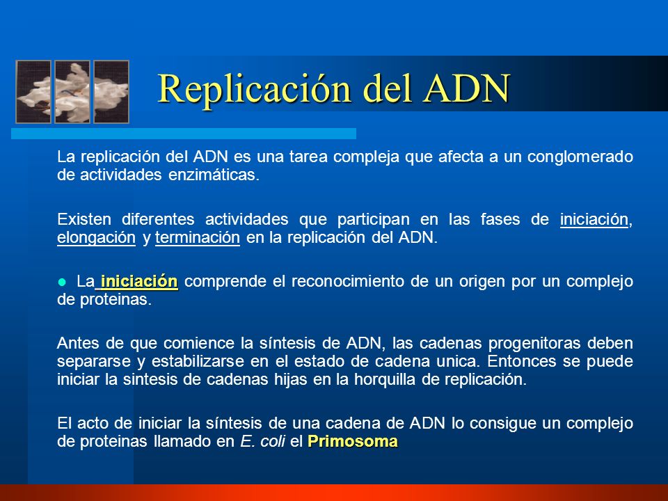 Replicación del ADN La replicación del ADN es una tarea compleja que afecta a un conglomerado de actividades enzimáticas.