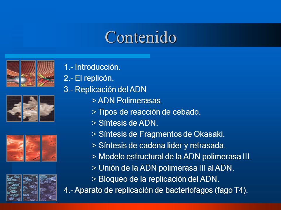 Contenido 1.- Introducción. 2.- El replicón. 3.- Replicación del ADN