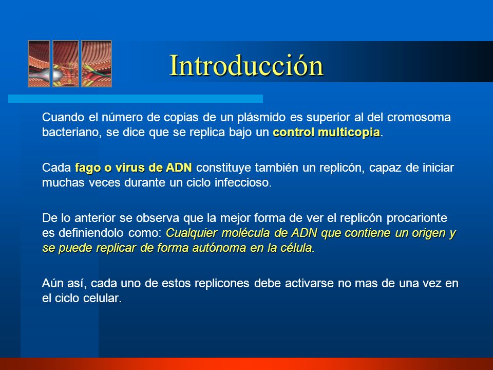 Introducción Cuando el número de copias de un plásmido es superior al del cromosoma bacteriano, se dice que se replica bajo un control multicopia.