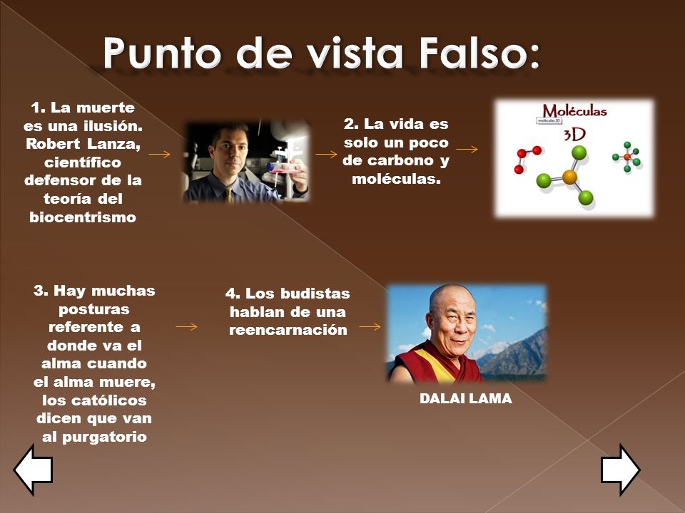 Punto de vista Falso: 1. La muerte es una ilusión. Robert Lanza, científico defensor de la teoría del biocentrismo.