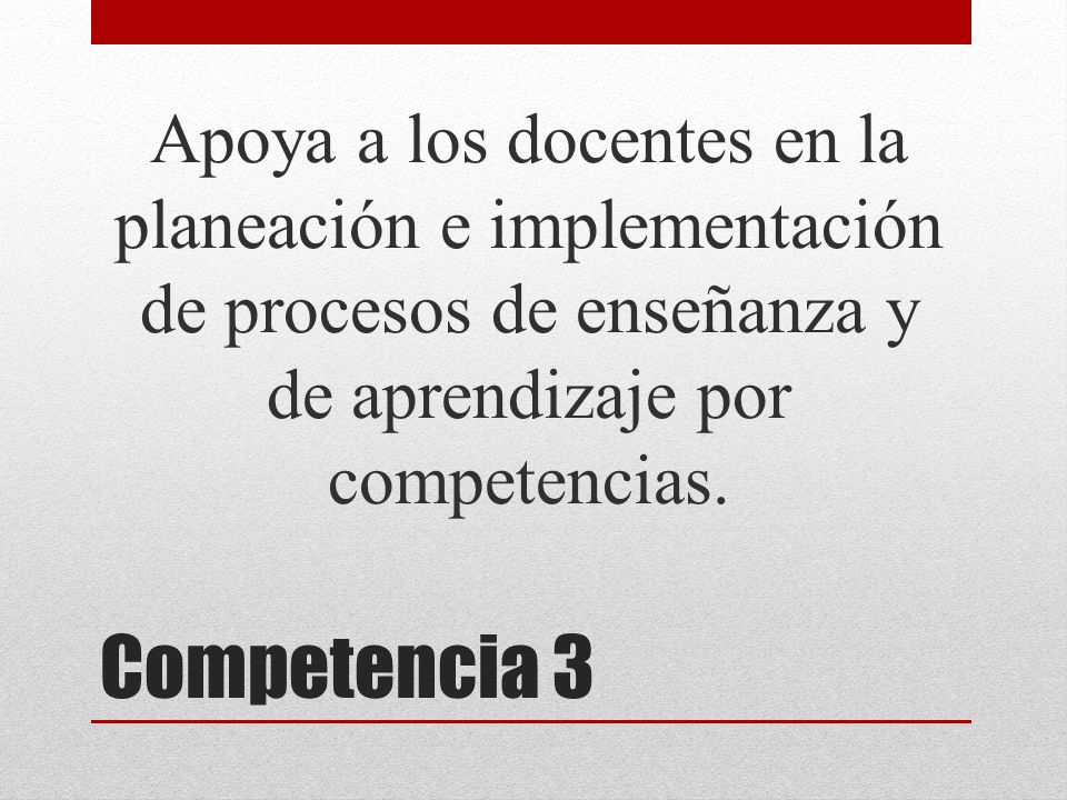 Apoya a los docentes en la planeación e implementación de procesos de enseñanza y de aprendizaje por competencias.