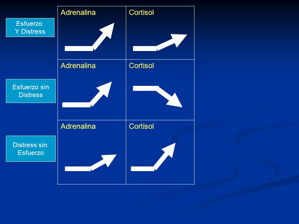 Adrenalina Cortisol Esfuerzo Y Distress Esfuerzo sin Distress