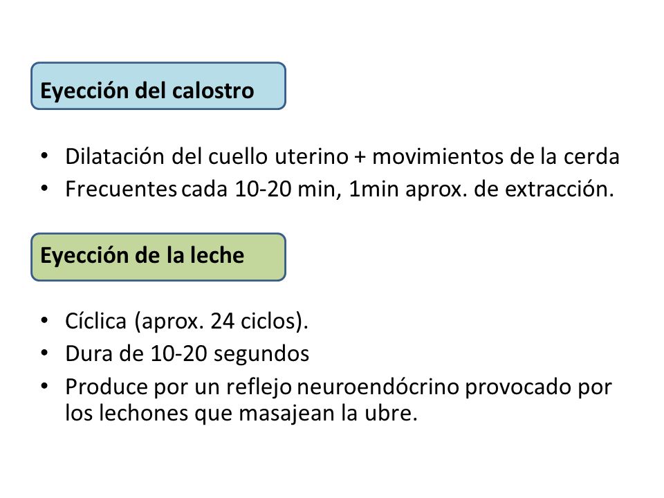 Eyección del calostro Dilatación del cuello uterino + movimientos de la cerda. Frecuentes cada min, 1min aprox. de extracción.