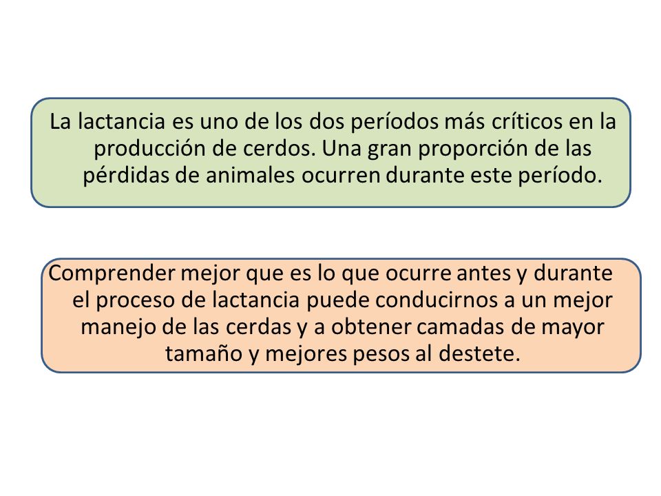 La lactancia es uno de los dos períodos más críticos en la producción de cerdos. Una gran proporción de las pérdidas de animales ocurren durante este período.
