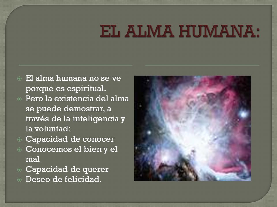 EL ALMA HUMANA: El alma humana no se ve porque es espiritual.