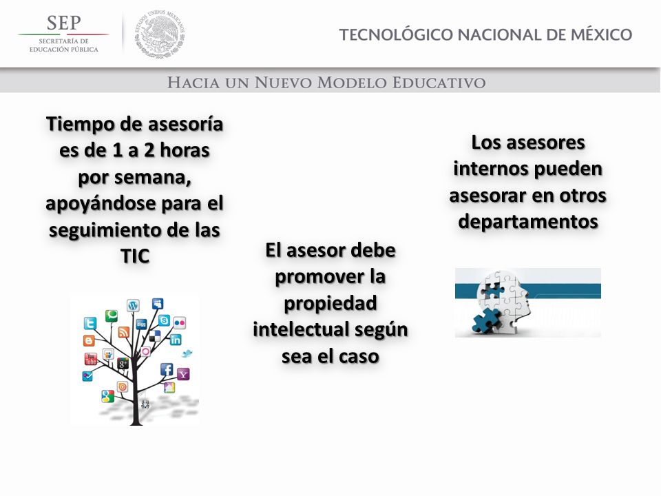 Los asesores internos pueden asesorar en otros departamentos