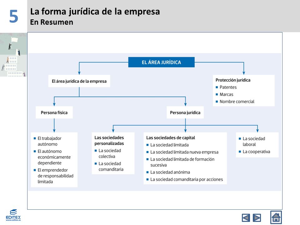 5 La forma jurídica de la empresa En Resumen Banda Superior