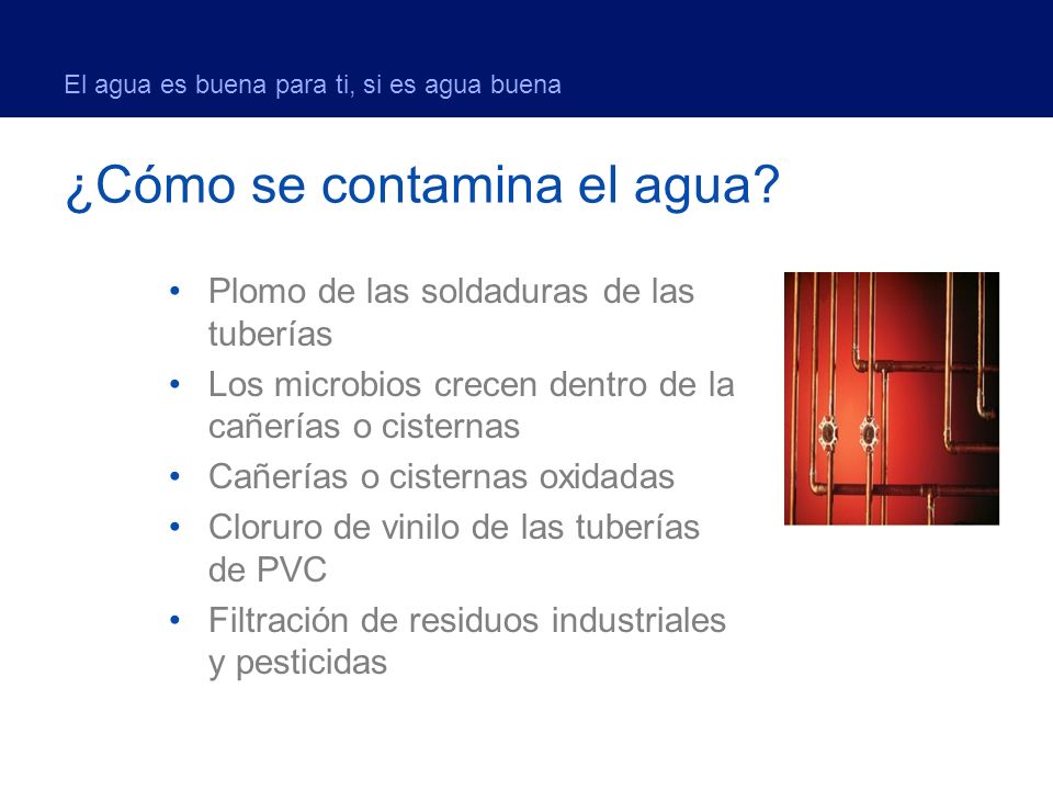 El agua es buena para ti, si es agua buena